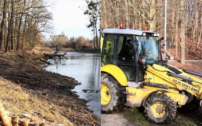Toruń: Metamorfoza Parku Miejskiego na Bydgoskim Przedmieściu! Co się zmieni?