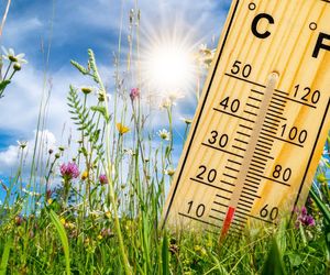 Wiosna w lutym?! Szokująca prognoza, w tym regionie nawet 15°C 