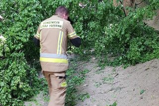 Wypadek w wąwozie Korzeniowy Dół