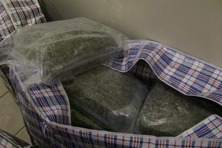 Prawie 20 kg marihuany w aparthotelach na Kazimierzu