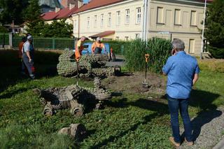 Ukrainiec zderzył się ze słoniami w Przeworsku