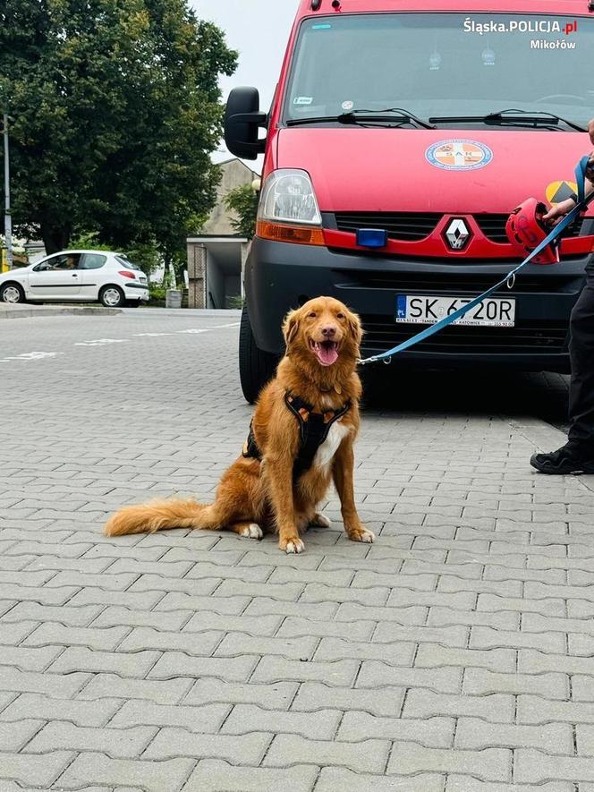 Nowe fakty w sprawie śmierci 15-letniej Marceliny z Orzesza. Prokuratura wszczęła śledztwo