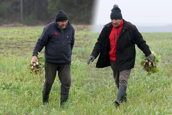 Rolnicy. Podlasie. Andrzej z Plutycz nagle zniknął. Gienek coś wie. "Ty kota ogonem nie odwracaj"