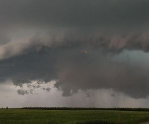 Potężne burze nad Polską. Drzewa spadały na samochody, setki interwencji straży pożarnej 