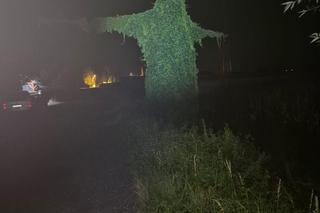  Buka z Krobusza śmieszy i przeraża. Upiorne wrocławskie latarnie mają konkurencję