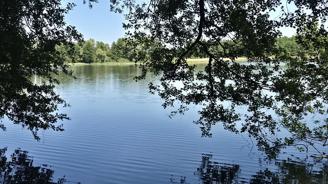 To jedno z największych jezior w Olsztynie. Kusi turystów piaszczystymi plażami