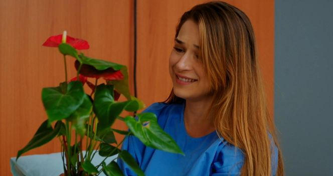 Miłość i nadzieja odc. 267. Sila