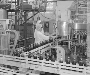 Mazowieckie Zakłady Przetwórstwa Owocowo-Warzywnego w Tarczynie (1976 r.)