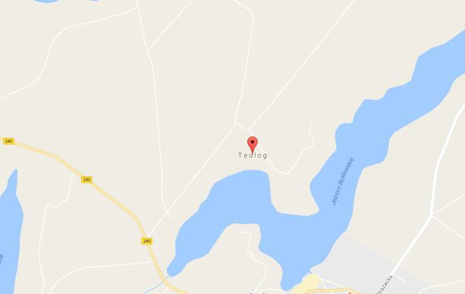 Teolog