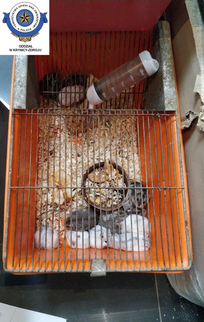 Dramatyczna interwencja w sklepie zoologicznym na Śląsku. Zwierzęta przetrzymywane w skandalicznych warunkach