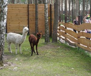 Otwarcie Noe Parku w Skarżysku