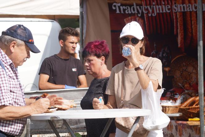 Jarmark Kujawsko-Pomorski 2023 w bydgoskim Myślęcinku 