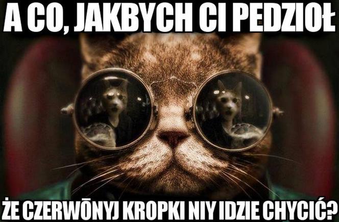 Kropki niy idzie chycić