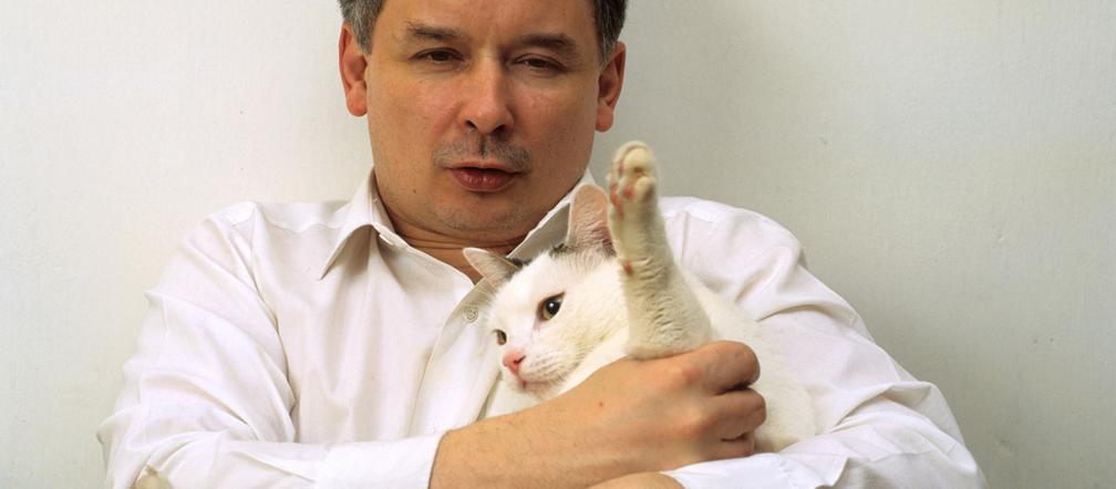 Wszystkie koty Jarosława Kaczyńskiego 