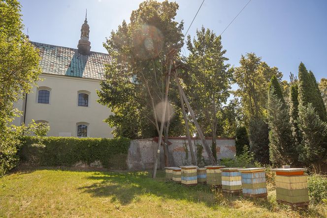Kościół Niepokalanego Poczęcia NMP w Lutomiersku