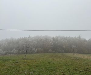 Najpiękniejsza wieś w Małopolsce zachwyca także jesienią. Leży na Szlaku Orlich Gniazd