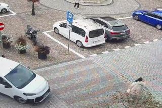 Namysłów. Ciężarna kobieta potrącona na przejściu dla pieszych. Wypadek zarejestrowała kamera [ZDJĘCIA]