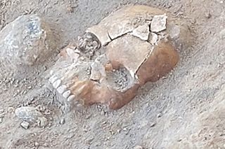 Kolejne wyjątkowe odkrycie w Pniu pod Bydgoszczą. Z polskimi naukowcami pracuje Indiana Jones z Liverpoolu, wcześniej badał Całun Turyński 