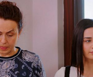 Miłość i nadzieja odc. 295. Cavidan, Bahar