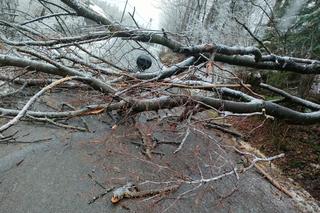 Wypadek w Sopotni Małej