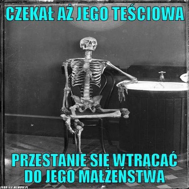 Dzień Teściowej 2021: MEMY. Najlepsze, śmieszne żarty i obrazki o teściowych [ZDJĘCIA]