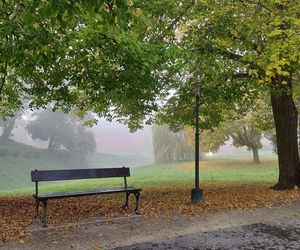 Zamojski Park jesienią