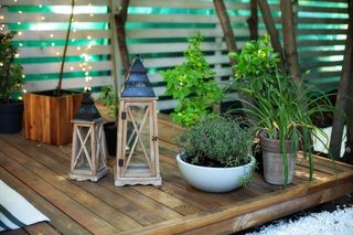 Rośliny na balkonie 