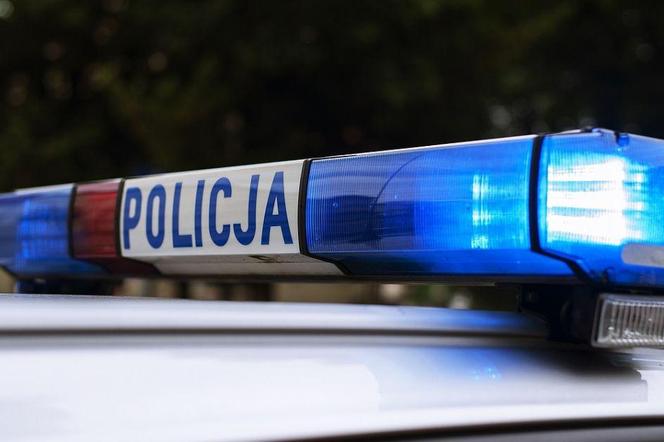 Zwłoki mężczyzny znalezione w lesie na terenie Poznania. Policja prosi o pomoc w identyfikacji zwłok