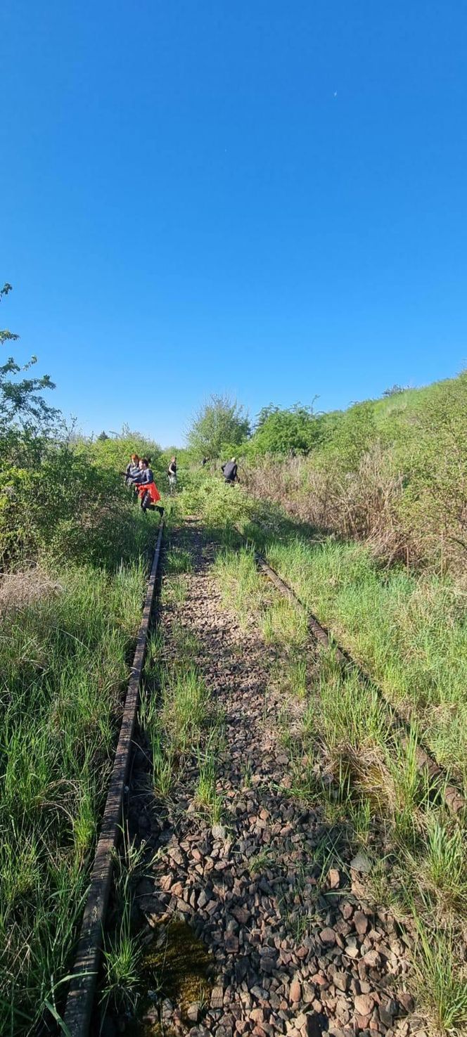 Ludzie sami wyrywają chaszcze na torach. Tak walczą o reaktywację linii kolejowej nr 241 z Tucholi do Koronowa
