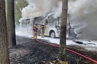 Pożar autobusu z przedszkolakami w Wielkopolsce! W pojeździe było 44 dzieci i 5 opiekunów
