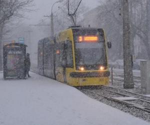 Nowe biletomaty w Toruniu. Zobaczcie, gdzie się znajdują