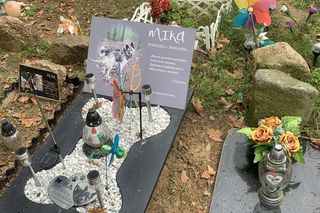 Cmentarz znajduje się przy ul. Brzozowa Przystań 1 w miejscowości Mochle