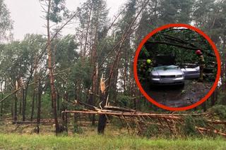 Potężna nawałnica przeszła przez woj. lubelskie. Straty są ogromne, jedna osoba jest ranna [ZDJĘCIA]