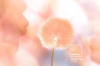 Instytut Pantone ogłosił Kolor Roku 2024. Pomiędzy różem i pomarańczą