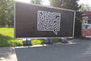 14. Art Moves Festival w Toruniu