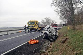 Śmiertelny wypadek pod Owczarami w powiecie słubickim