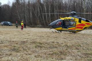 Mężczyzna przygnieciony przez drzewo