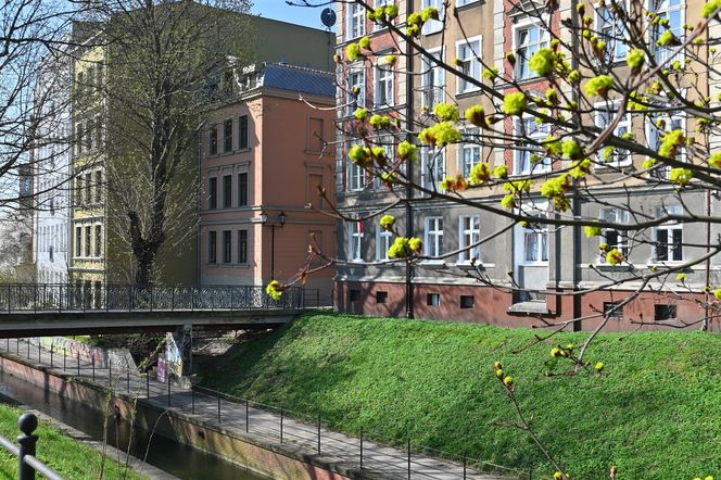 Biskupia Górka