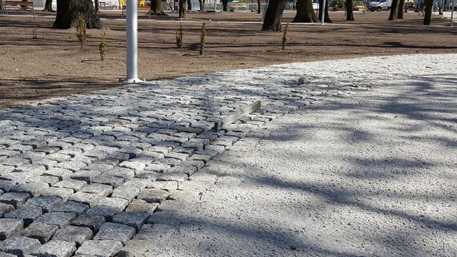 Od dziś otwarte lasy i parki. Ale parki Heermanna i Jonstona wciąż ogrodzone