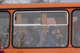 Dramat pod Legionowem. Autobus z dziećmi roztrzaskał się o drzewo. Są ranni