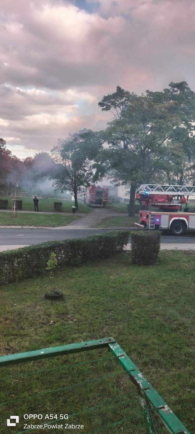 Pożar mieszkania przy ul. Kalinowej w Zabrzu