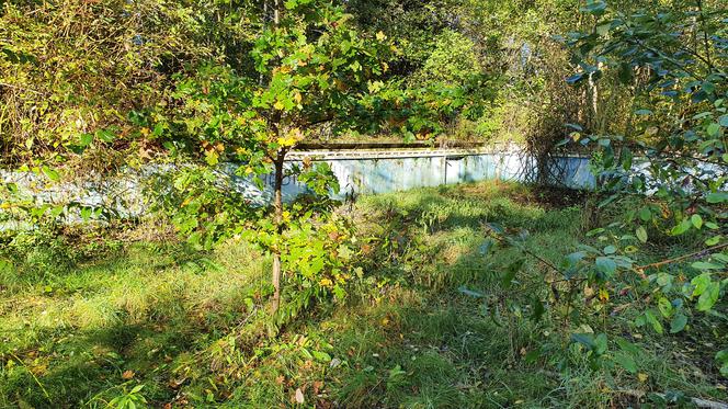 Opuszczony basen LIGA w Chorzowie. Perełka PRL-u jest dzisiaj ruiną [ZDJĘCIA, WIDEO]