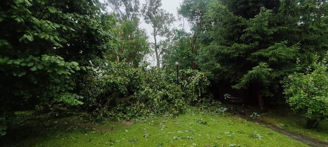 Kolejne groźne nawałnice przeszły nad Warmią i Mazurami. Strażacy interweniowali kilkaset razy [ZDJĘCIA]