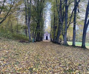Zamek w Dąbrówce Starzeńskiej