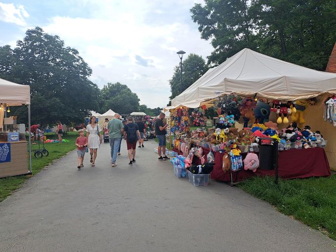 Smoczy Piknik Rodzinny 2025 w Krakowie