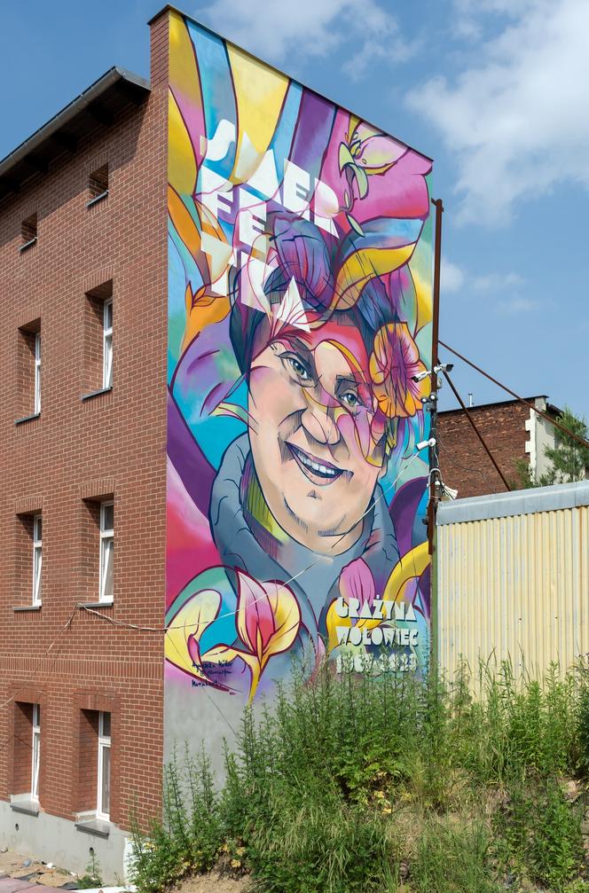 Mural z bytomską Smerfetką ukończony. Zobaczcie, jak prezentuje się w całości