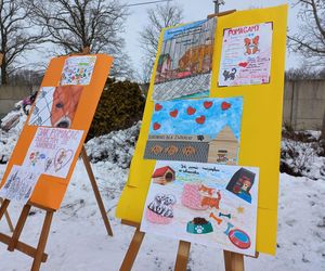 Schronisko dla bezdomnych zwierząt w Henrykowie prosi o słomę [ZDJĘCIA]