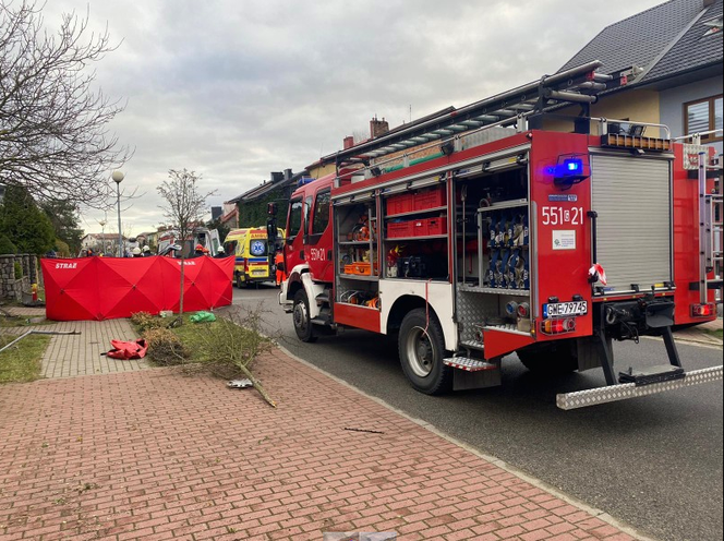 Tragiczny wypadek w Wejherowie. Zginęli pasażerowie osobowego Renault