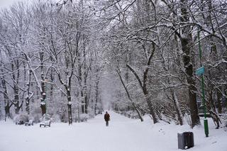 Białystok pod śniegiem. Tak prezentuje się zasypana stolica Podlasia