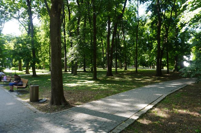 Park Miejski w Sandomierzu